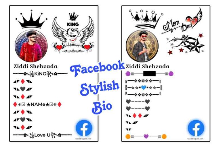 Facebook Stylish Bio